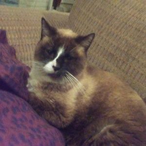 Meet your Posher, June